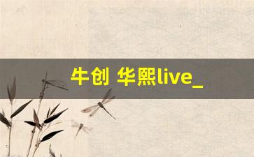 牛创 华熙live_北京华熙是什么地方